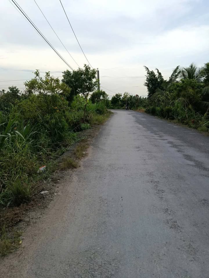 Đất nền 300m² xã Mỹ Hội, Cái Bè - Giá chỉ 2.1 tỷ - Đường huyện 71C gần trường học!