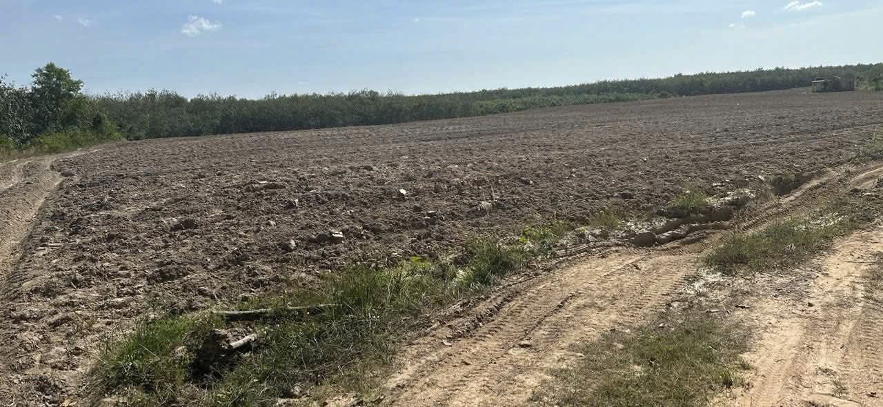 Đất nền 7,6 ha tại Tân Hòa, Tân Châu, Tây Ninh giá 6.328 tỷ - Cơ hội đầu tư hấp dẫn!