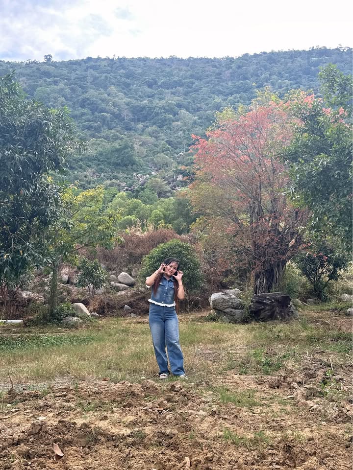 Đất thổ cư 300m² Ninh Thạnh, Tây Ninh - Tiện ích lý tưởng cho nhà vườn