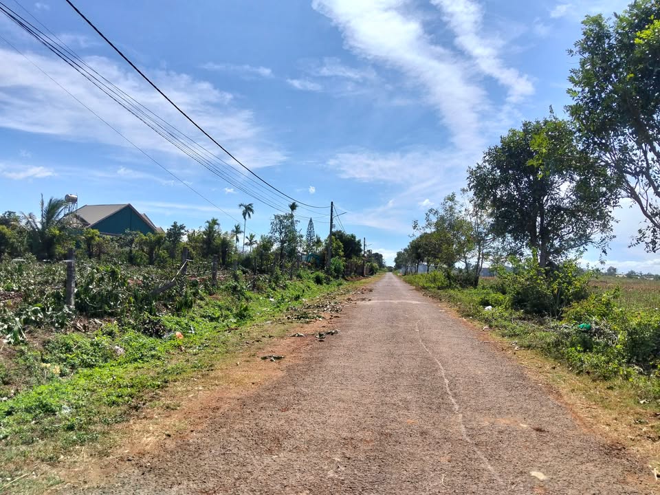 Đất thổ cư Nguyễn Tuân, Pleiku 200m² giá chỉ 800 triệu - Cơ hội đầu tư tuyệt vời!