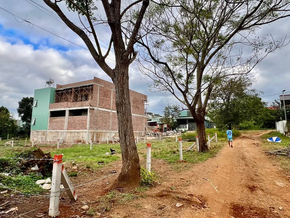 Đất Bùi Dự Pleiku 250m² giá 1.45 tỷ - Hướng Tây, Đường 8m rộng rãi!