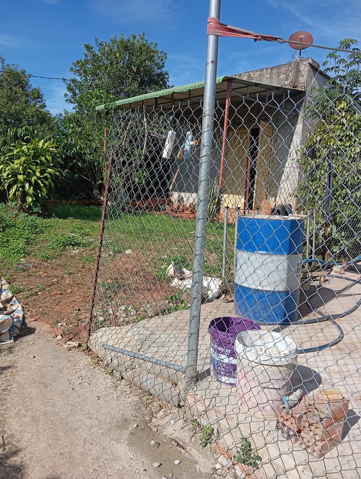 Đất Tân Hà, Lâm Hà 224m² giá 800 triệu - Gần mọi tiện ích sống động!