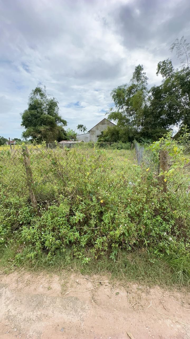 Đất nền Cát Trinh, Phù Cát 100m² giá chỉ 200 triệu - Sổ hồng riêng, ô tô vào tận nơi!