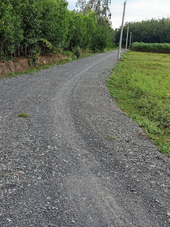 Đất nền Hảo Đước, Châu Thành, Tây Ninh 1269m² giá 300 triệu - Đầu tư sinh lời nhanh!