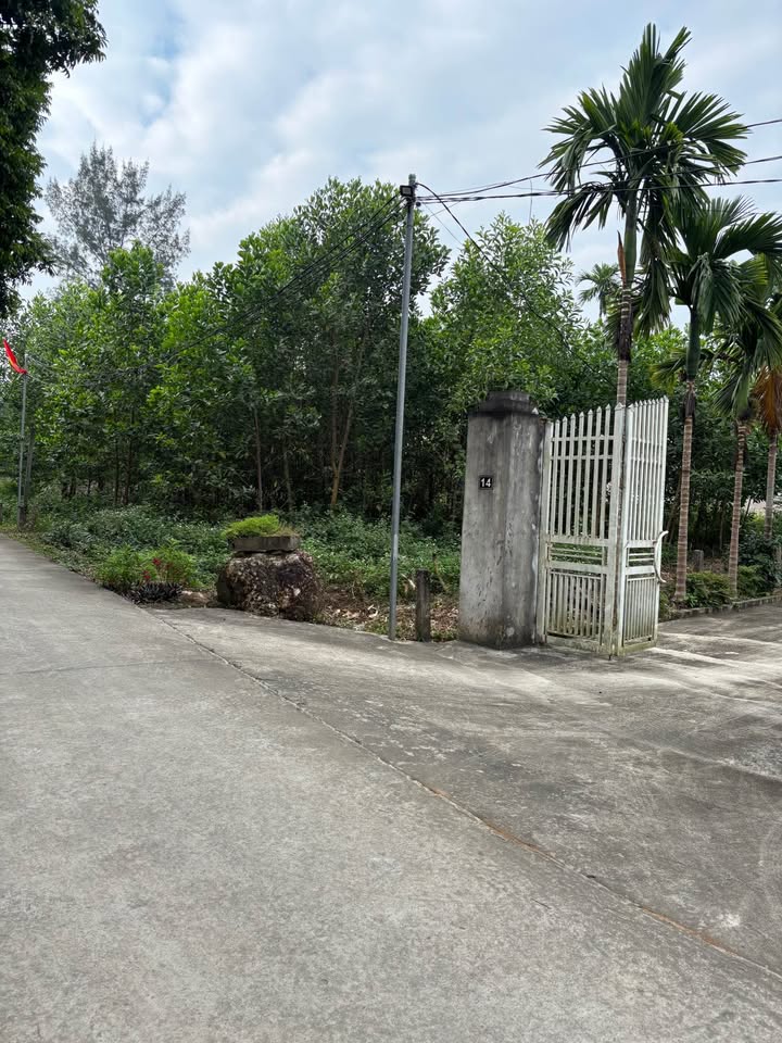 Đất thổ cư 1620m² Thôn 9, Ba Trại - Giá chỉ vài triệu - Cơ hội đầu tư tuyệt vời!