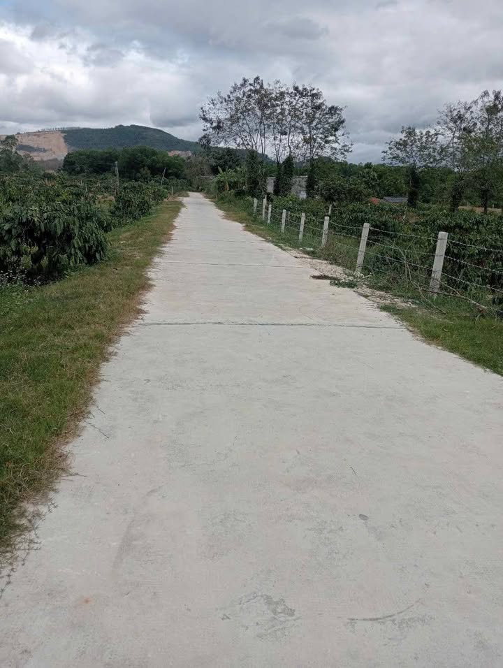 Đất nền 620m² mặt đường bê tông xã Ea Păl - Giá chỉ 200 triệu, cơ hội đầu tư tuyệt vời!