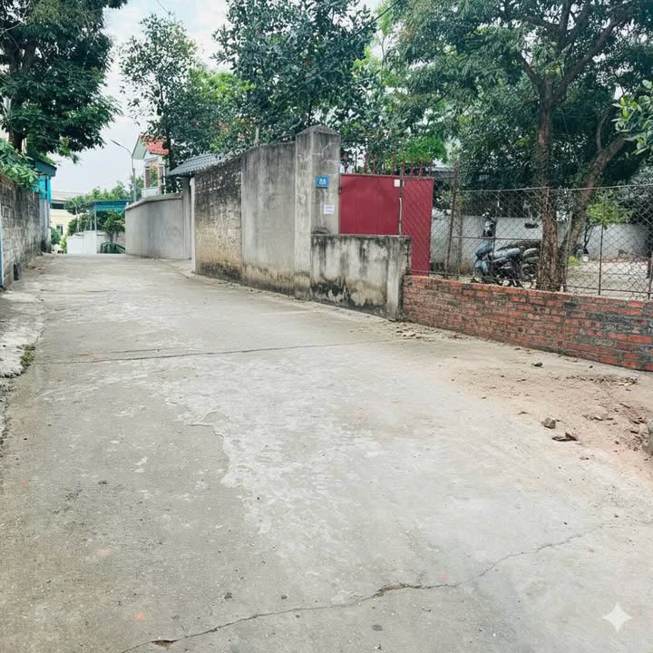 Đất thổ cư Thanh Miếu Việt Trì 95m² giá chỉ 3 tỷ - Đầu tư sinh lời ngay!