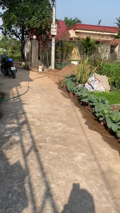 Lô đất đẹp Hoàng Trạch, Mễ Sở, Văn Giang 122.4m² - Tiềm năng tăng giá cao!