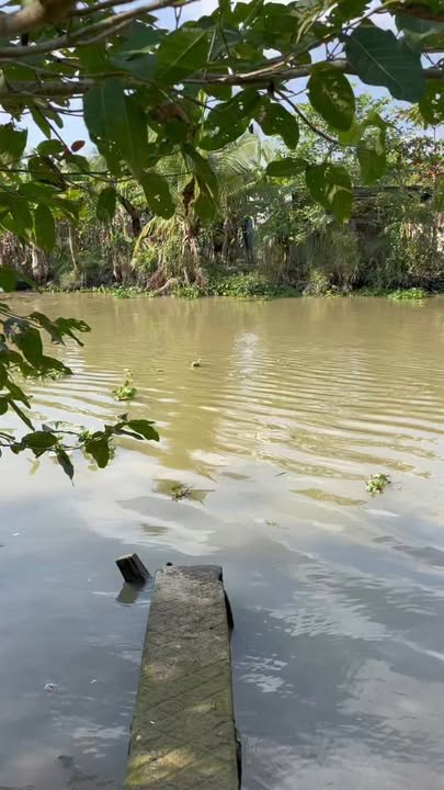 Đất mặt tiền tỉnh lộ 926, xã Trường Long, huyện Phong Điền, 1165m² giá 2.85 tỷ - Cơ hội đầu tư hấp dẫn!