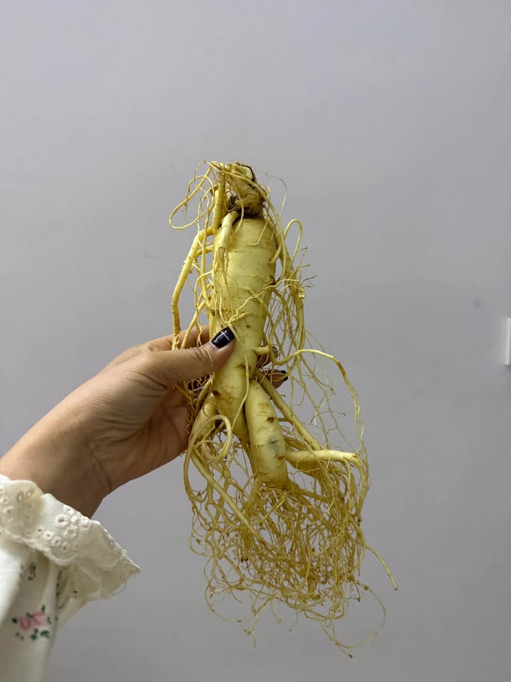 Đất Gia Minh Thủy Nguyên 309m² giá 1.9 tỷ - Ô tô đỗ cửa, đẹp hoàn hảo!