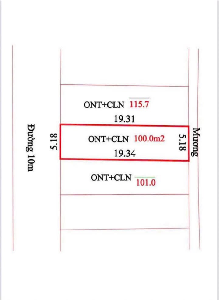 Đất nền Tân Lương, Minh Quang, Tam Đảo 80m² giá 1 tỷ - Đầu tư ngay!
