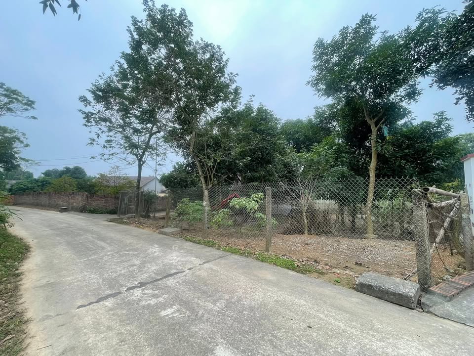 Đất nền 1700m² tại Vạn Xuân, Tam Nông - Cơ hội đầu tư tuyệt vời!