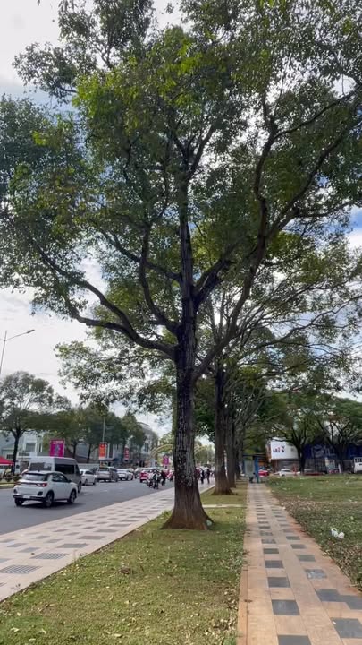 Cho thuê mặt tiền kinh doanh Nguyễn Tất Thành 221m² giá 50 triệu - Vị trí đắc địa tại Pleiku