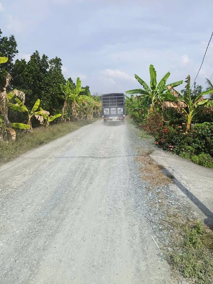 Đất vườn 5000m² tại Ấp Mỹ Hòa, Cái Bè - Giá 350 triệu, đầu tư sinh lời!