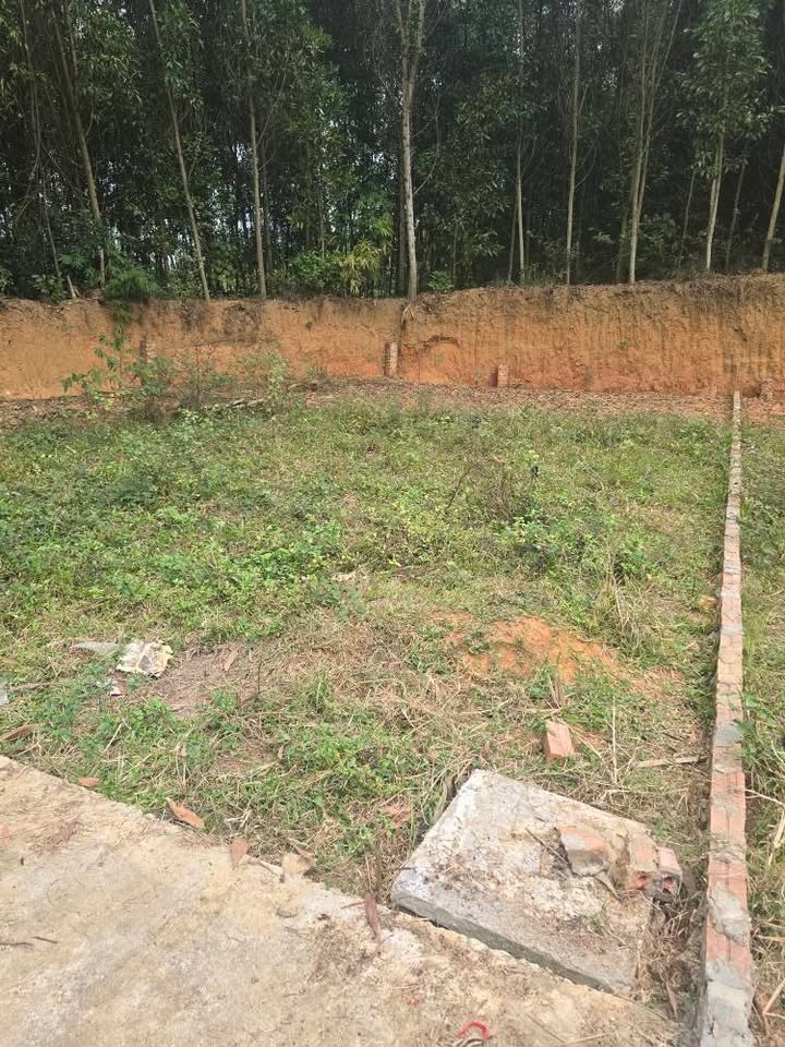 Đất nền Viên Châu, An Tường 200m² giá 550 triệu - Đường ô tô vào tận nơi!