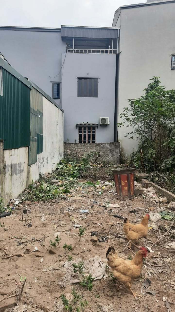 Đất nền Ngọc Hồi, Thanh Trì 61m² giá chỉ 4 tỷ - Sổ đỏ chính chủ!