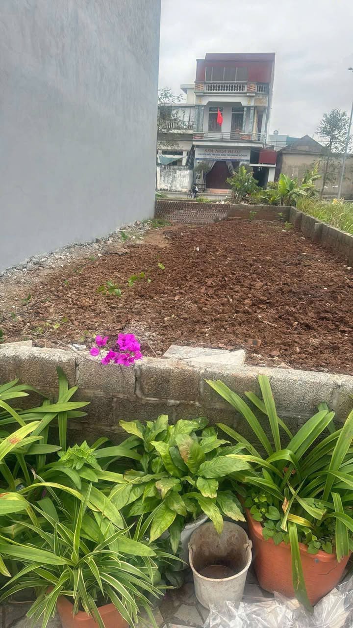 Đất nền Tổ 5, phường Lê Hồng Phong, TP Phủ Lý 72m² - Gần sân vận động và khu hành chính!