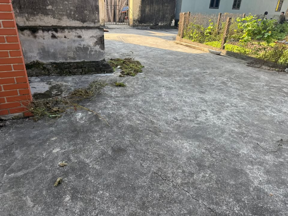 Đất thổ cư Tam Quang Vũ Thư 300m² giá thỏa thuận - Đường ô tô vào tận nơi!