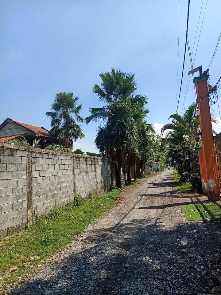 Đất Biệt thự vườn Long Phước Thủ Đức 600m² - Giá chỉ 19.2 triệu/m², cơ hội đầu tư tuyệt vời!