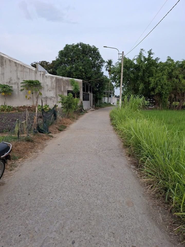 Đất đẹp Nghĩa Dõng 143m² giá 600 triệu - Đường ô tô thông thoáng!