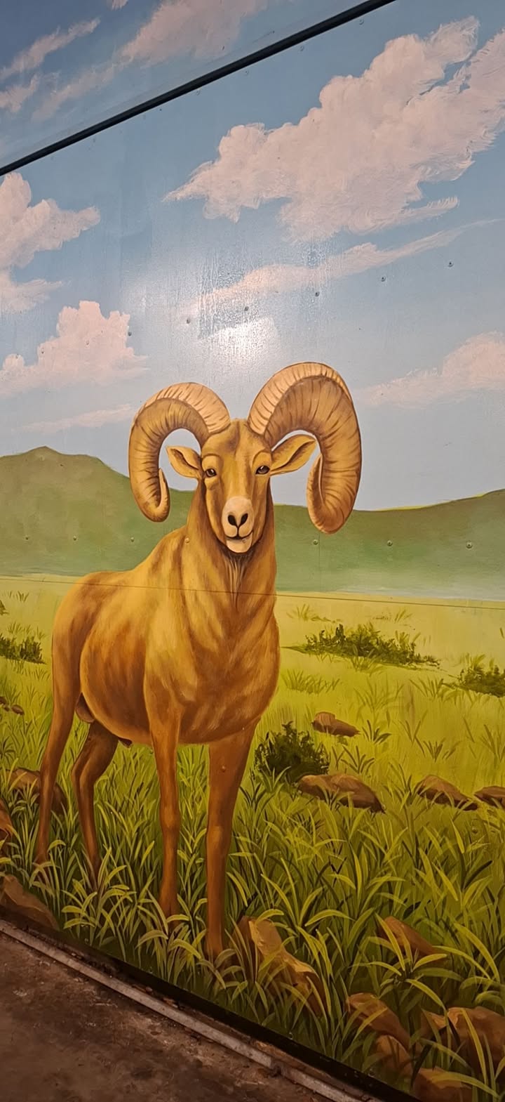 Đất nền Cẩm Thanh Hội An 602m² - Mặt tiền sông Trục, giá hấp dẫn!