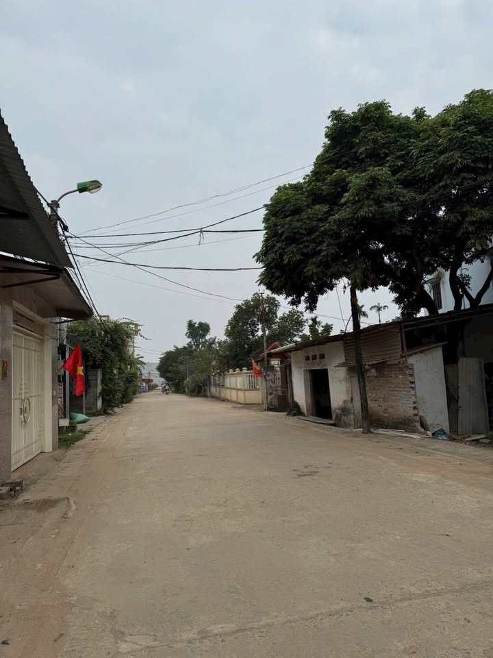 Đất thổ cư 150m² tại phường Tùng Thiện, Sơn Tây - Giá đầu tư hấp dẫn!