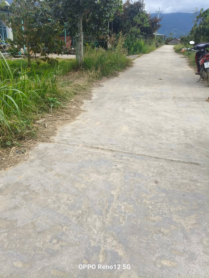 Đất thổ cư 900m² tại thôn 2 Rô Men, Đam Rông - Giá 600 triệu, bớt lộc cho người mua!