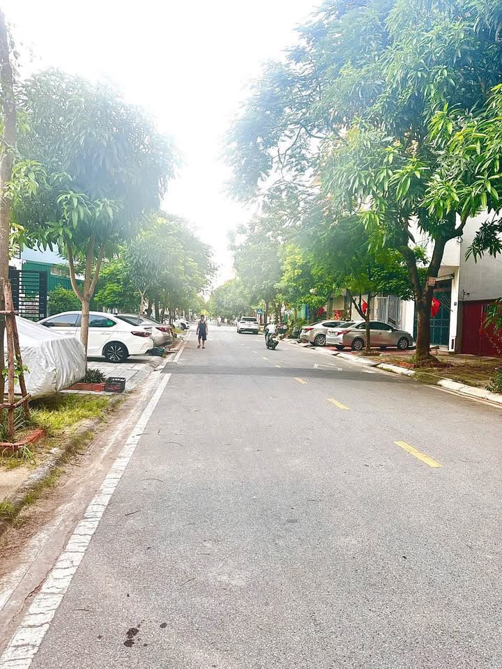 Đất mặt phố Trần Nguyên Đán, TP Hải Dương 65m² giá 5 tỷ - Kinh doanh sầm uất!