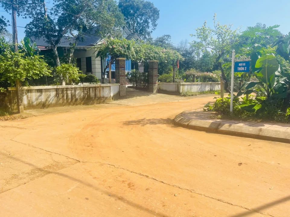 Đất nền Thọ Tân, Triệu Sơn 100m² giá chỉ 300 triệu - Cơ hội đầu tư vàng!