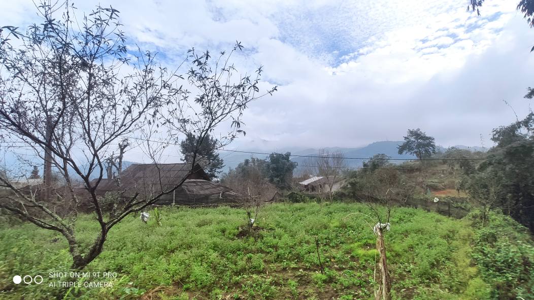 Đất nền 3 mặt tiền Tả Phìn - Sa Pa 1.224m² giá 3 tỷ - Tiềm năng đầu tư sinh lời cao!