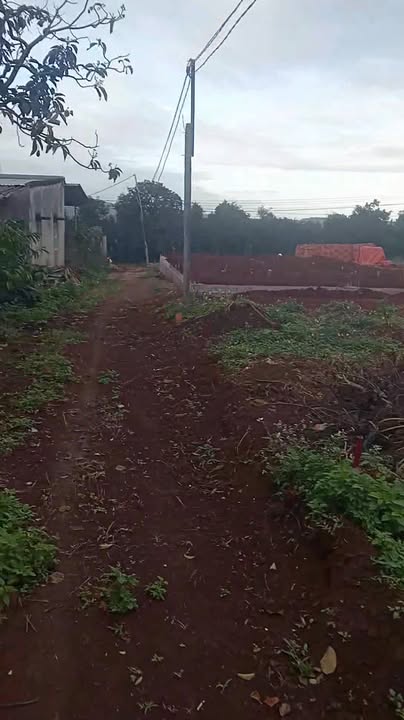 Đất thổ cư xã Ea Khal, Ea H'leo 150m² giá chỉ 159 triệu - Cơ hội đầu tư tuyệt vời!