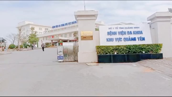 Đất nền Tiền An Quảng Yên 300m² chỉ 8 triệu/m² - Cơ hội đầu tư hiếm có!