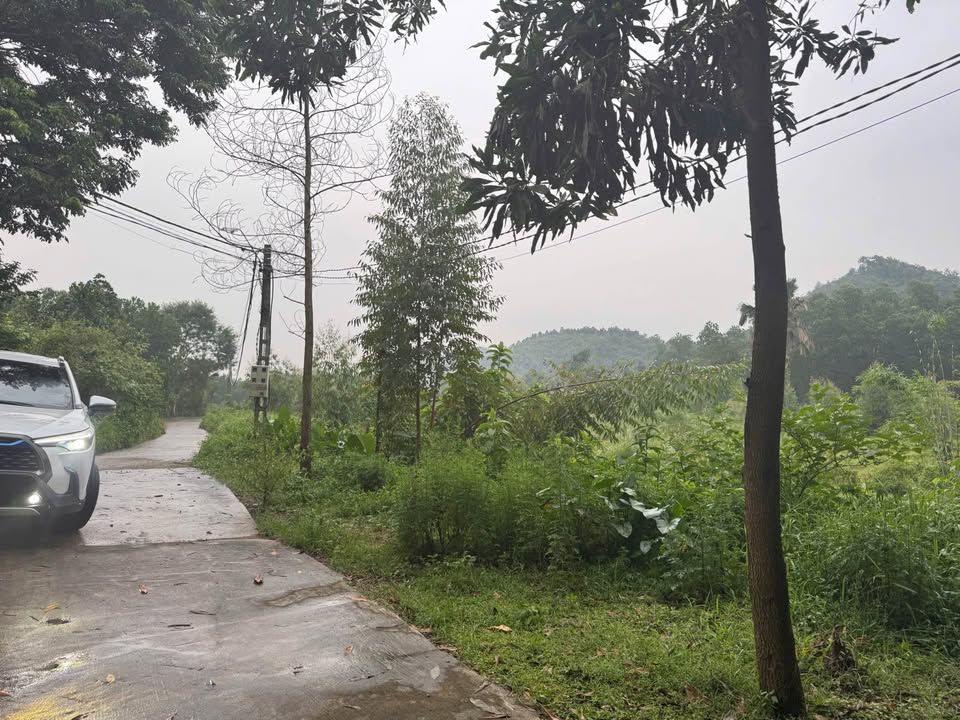 Lô đất An Khánh - Đại Từ 7340m² giá chỉ 4xx tỷ - Tiềm năng phân lô biệt thự!