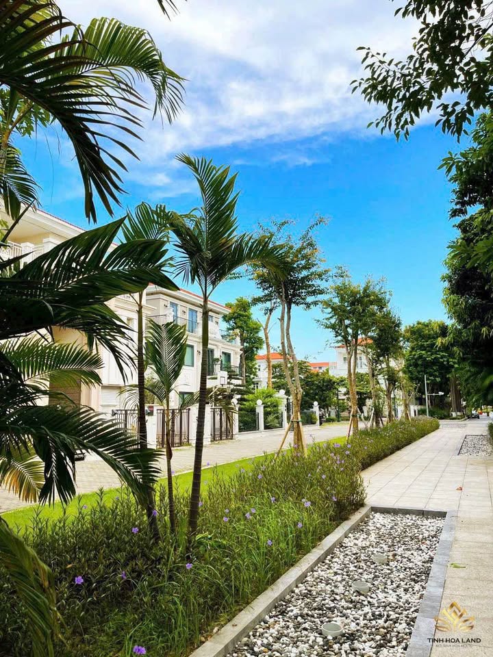 Biệt thự góc Mailand Hanoi City 270m² giá 81 tỷ - Sản phẩm hiếm có dành cho nhà đầu tư!