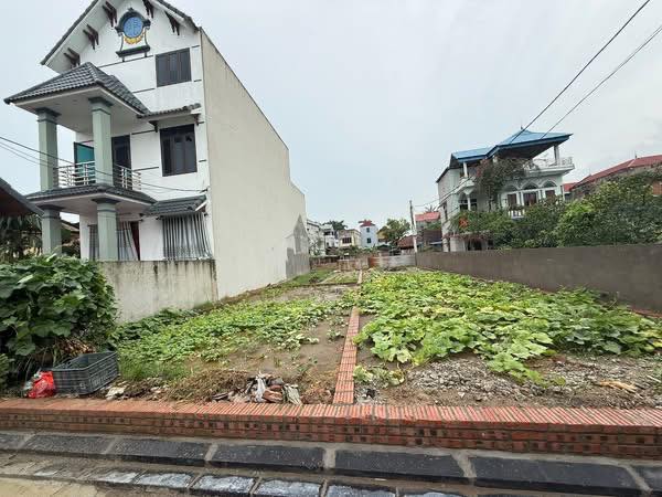 Đất nền Xuân Nộn 116m² giá 5.4 tỷ - Đầu tư sinh lời tiềm năng!