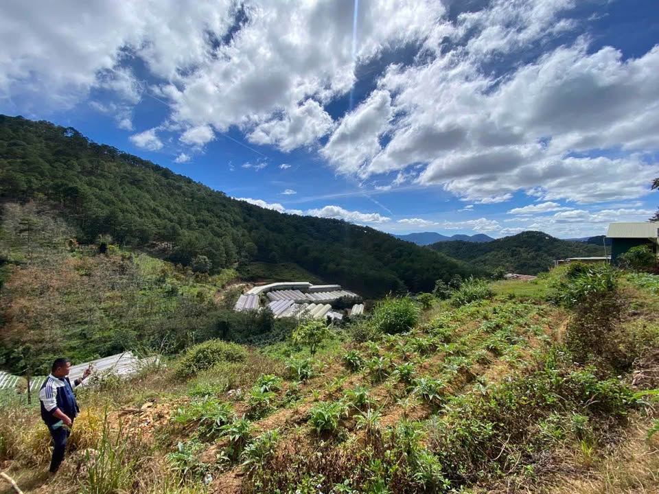 Đất nền Hùng Vương, Xuân Trường, Đà Lạt 332m² giá 1.95 tỷ - View rừng thông lý tưởng!