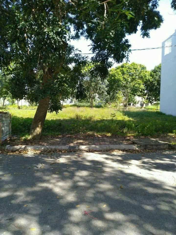 Đất nền liền kề Đường số 15, KDC 135 Bến Lức 100m² giá 3 tỷ - Địa thế đắc địa, pháp lý rõ ràng!