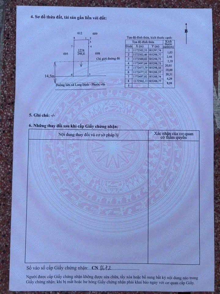 Đất nền mặt tiền đường Nhựa Long Định – Phước Vân 250m² giá 2.7 tỷ - Kinh doanh thuận lợi!