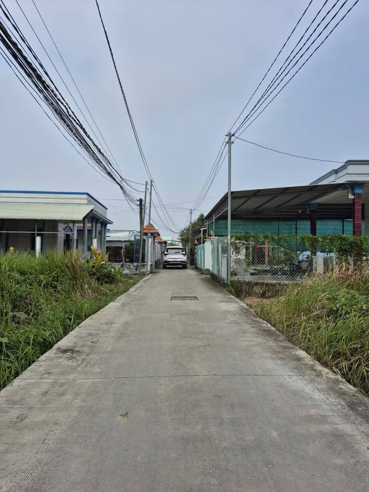 Đất thổ cư 1500m² tại Thạnh Đức, Bến Lức - Đầu tư sinh lời tốt!