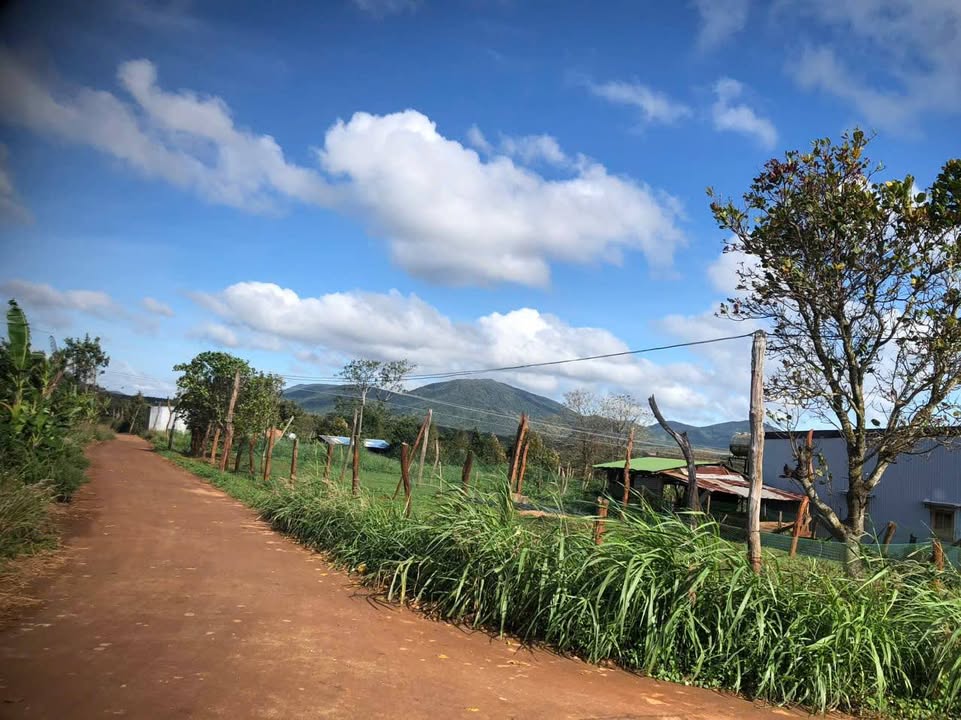 Đất nền 2 mặt tiền tại xã Ea Wy 1000m² giá 1.2 tỷ - Cơ hội đầu tư tuyệt vời!