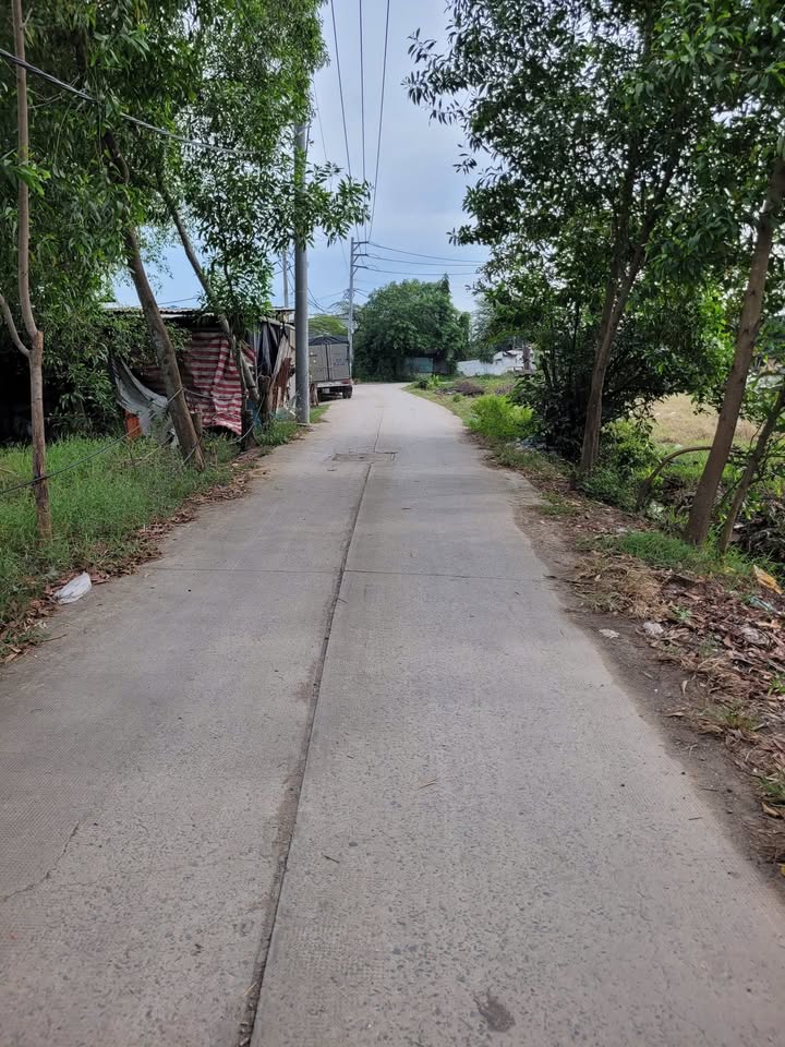 Đất nền 1000m² Vĩnh Lộc B, Bình Chánh giá 7.5 tỷ - Đầu tư sinh lời ngay!