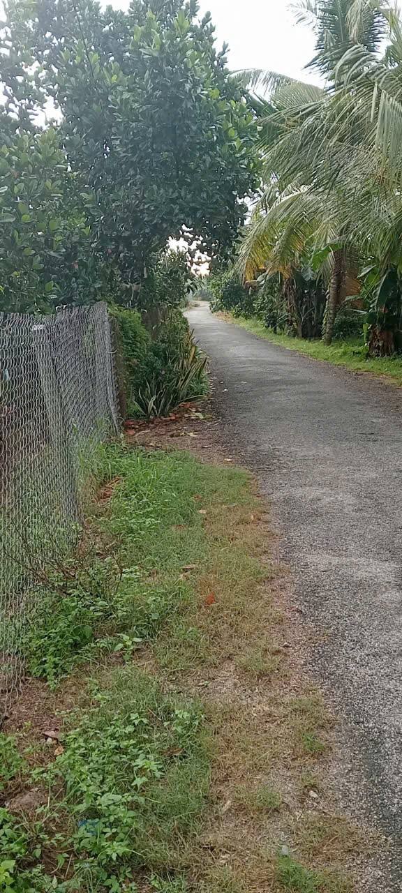 Đất mặt tiền Mỹ Phú Cai Bè 9360m² giá 650 triệu - Pháp lý rõ ràng, đầu tư sinh lời!