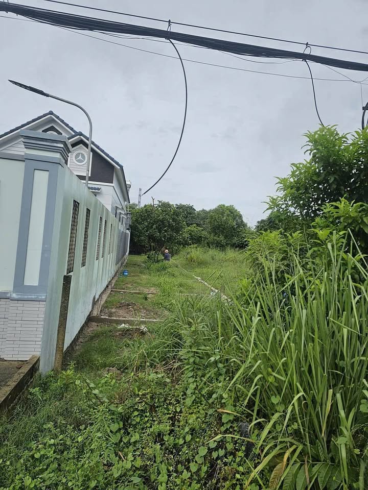 Đất mặt tiền đường Nhuận Đức, Củ Chi 200m² giá 2.6 tỷ - Kinh doanh sầm uất!