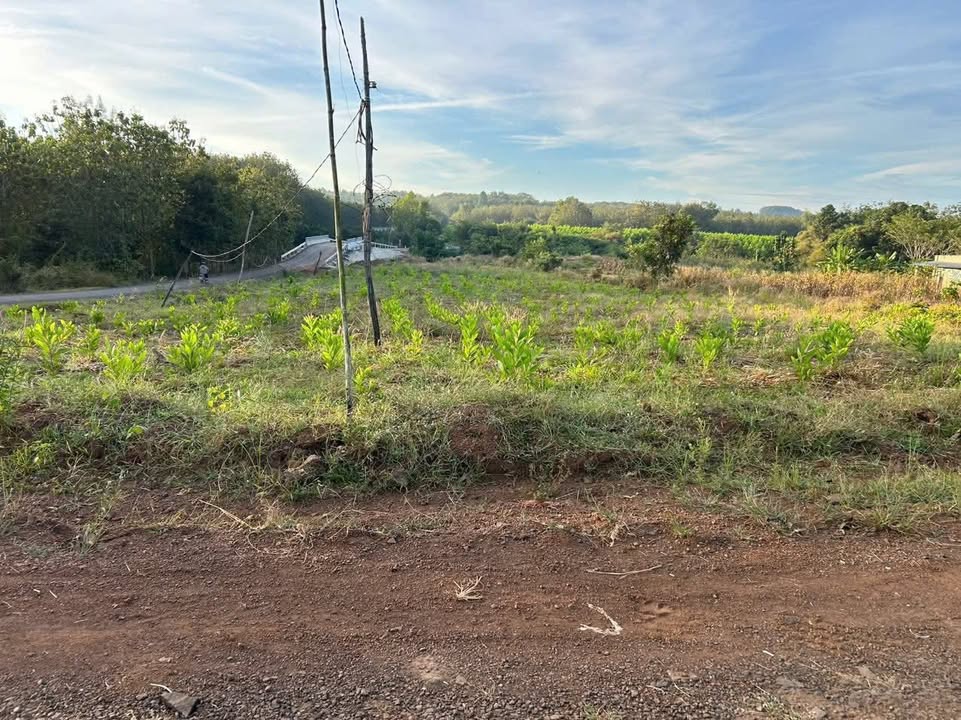 Đất nền Lộc Phú 53000m² giá 1 tỷ - Mặt tiền nhựa, cơ hội đầu tư hấp dẫn!