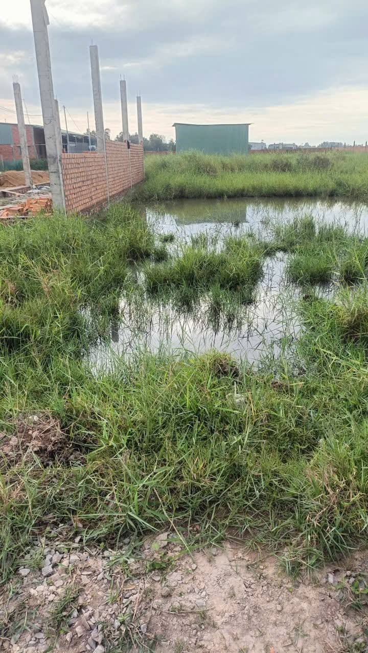 Đất nền Cát Tường Phú Sinh 240m² giá 900 triệu - Sổ đỏ chính chủ!