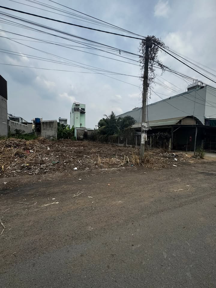 Đất nền đường 25A4, Đức Hòa, Long An 250m² - Giá tốt cho nhà đầu tư!