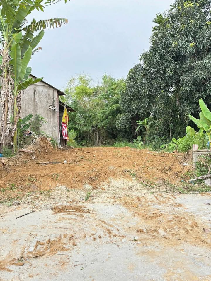 Đất nền Điện Minh, Điện Bàn 155m² giá tốt - Sổ đỏ chính chủ!