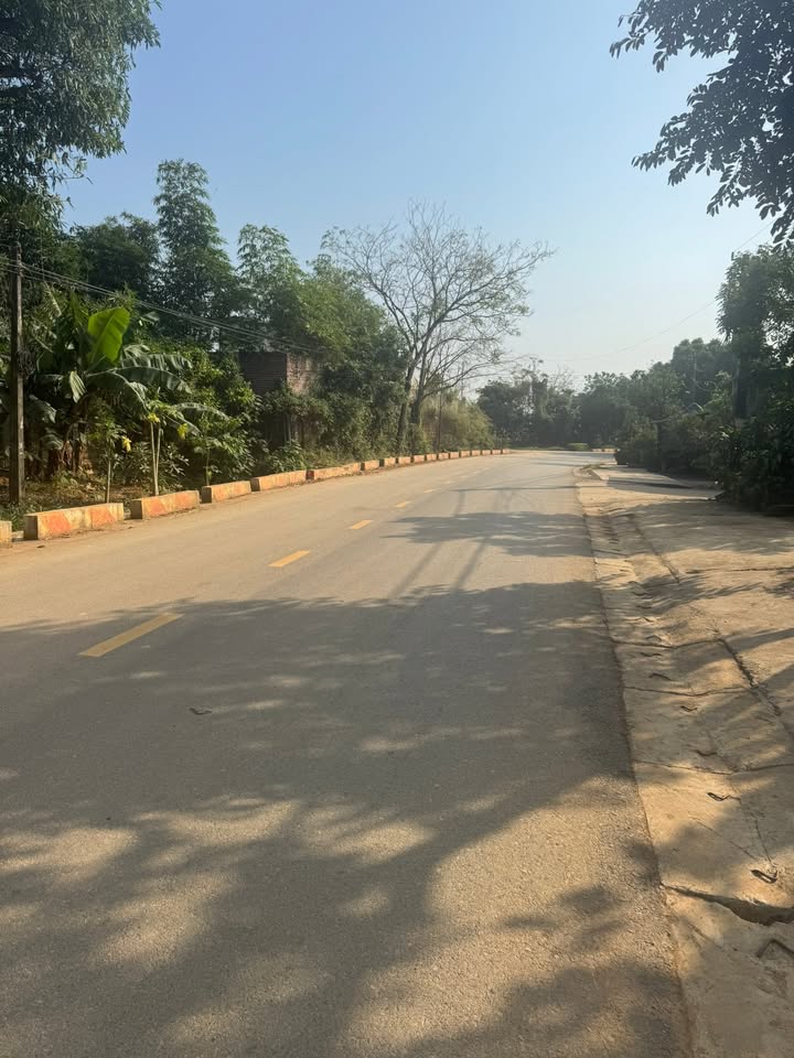 Đất nền 100m² tại Bắc Sơn, Bỉm Sơn - Kinh doanh sầm uất, giá tốt!