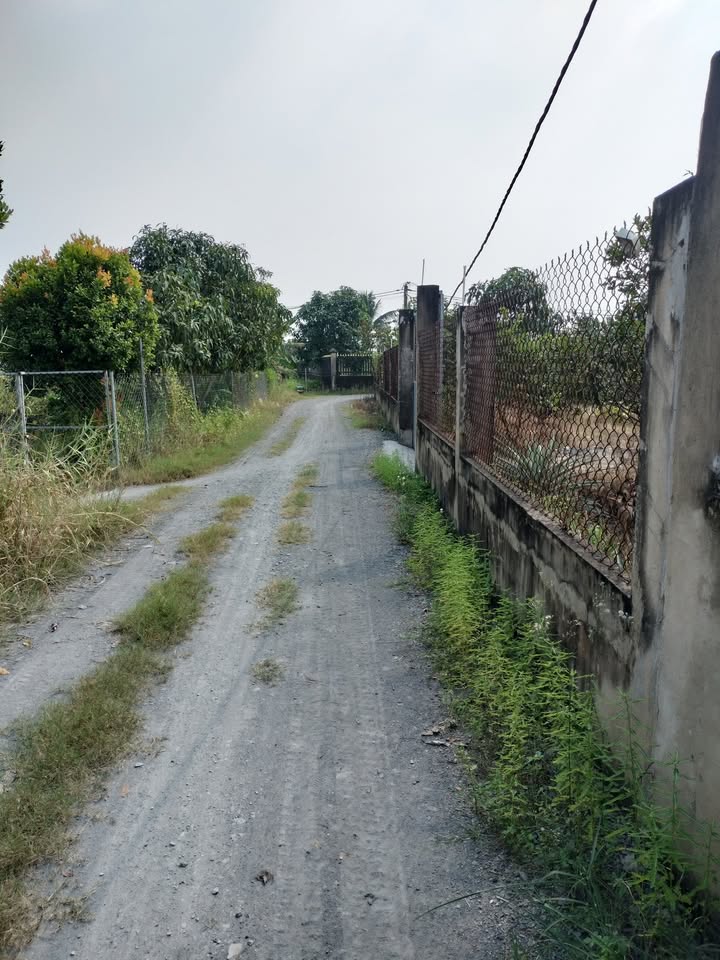 Đất nông nghiệp 1000m² xã Lê Minh Xuân, Bình Chánh giá 4 tỷ - Sổ hồng riêng chính chủ!