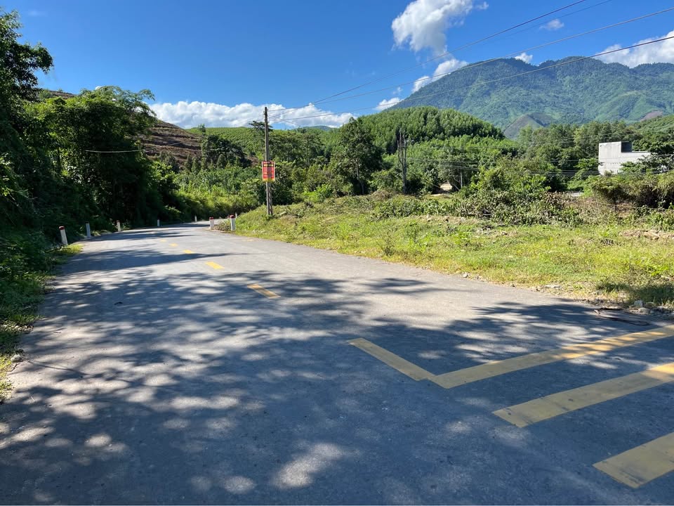 Đất nền Khánh Thành 5000m² giá 2.1 tỷ - Cơ hội đầu tư lý tưởng!